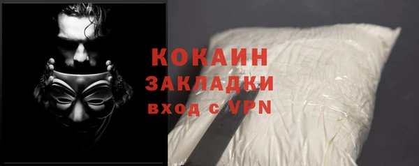 эйфоретик Арсеньев