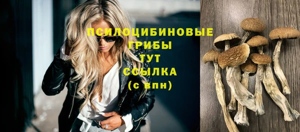 эйфоретик Арсеньев