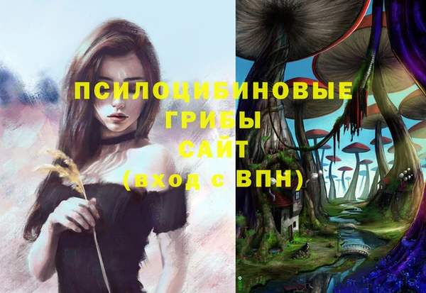 эйфоретик Арсеньев