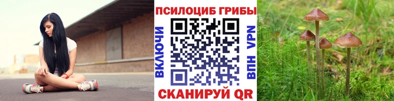 Псилоцибиновые грибы мухоморы  нарко площадка формула  Полярный  продажа наркотиков 